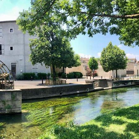 Quai Du Felibre Apartment LʼIsle-sur-la-Sorgue Exterior foto